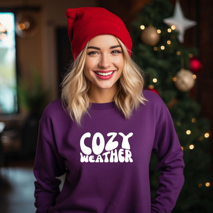 Cozy Weather Sweatshirt