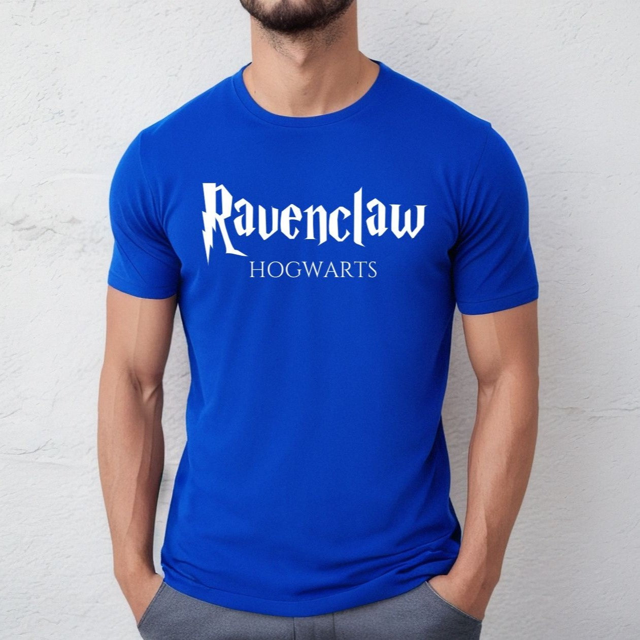 Ravenclaw Hogwarts