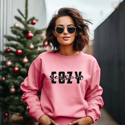 Cozy Season Sweatshirt