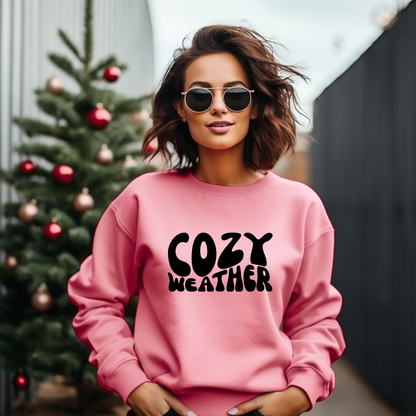 Cozy Weather Sweatshirt